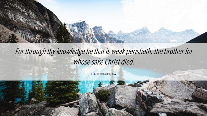 Picture 06 - 1 Corinthians 8:11 ASV Desktop Wallpaper - For through thy knowledge he that is weak - Desktop Bible Verse Wallpaper