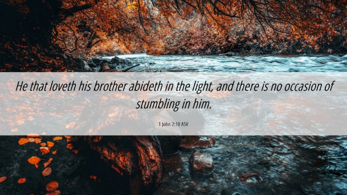 Picture 06 - 1 John 2:10 ASV Desktop Wallpaper - He that loveth his brother abideth in the light, - Desktop Bible Verse Wallpaper