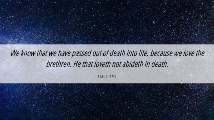 Picture 06 - 1 John 3:14 ASV Desktop Wallpaper - We know that we have passed out of death into - Desktop Bible Verse Wallpaper