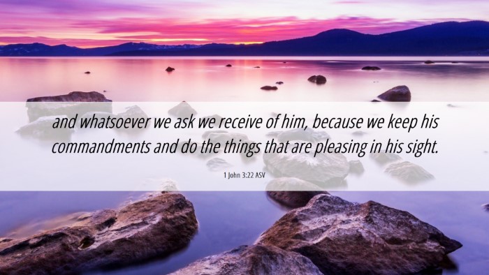 Picture 06 - 1 John 3:22 ASV Desktop Wallpaper - and whatsoever we ask we receive of him, because - Desktop Bible Verse Wallpaper