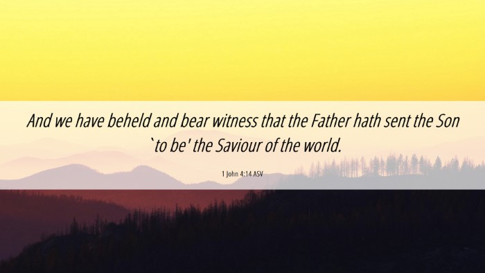 Picture 06 - 1 John 4:14 ASV Desktop Wallpaper - And we have beheld and bear witness that the - Desktop Bible Verse Wallpaper