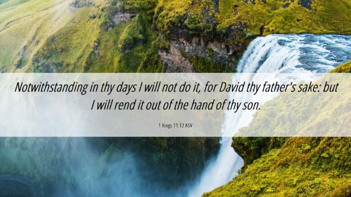 Picture 06 - 1 Kings 11:12 ASV Desktop Wallpaper - Notwithstanding in thy days I will not do it, for - Desktop Bible Verse Wallpaper