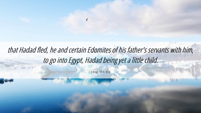 Picture 06 - 1 Kings 11:17 ASV Desktop Wallpaper - that Hadad fled, he and certain Edomites of his - Desktop Bible Verse Wallpaper