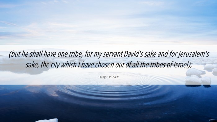Picture 06 - 1 Kings 11:32 ASV Desktop Wallpaper - (but he shall have one tribe, for my servant - Desktop Bible Verse Wallpaper
