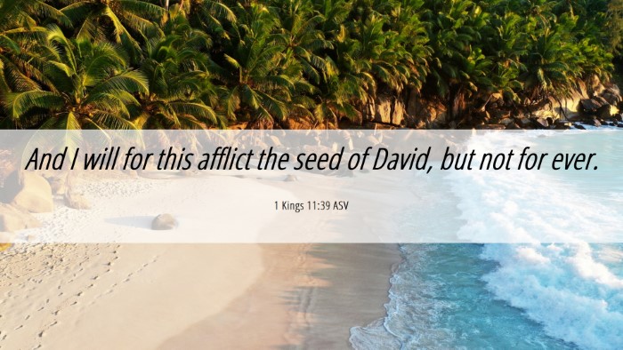Picture 06 - 1 Kings 11:39 ASV Desktop Wallpaper - And I will for this afflict the seed of David, - Desktop Bible Verse Wallpaper