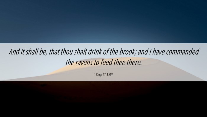 Picture 06 - 1 Kings 17:4 ASV Desktop Wallpaper - And it shall be, that thou shalt drink of the - Desktop Bible Verse Wallpaper