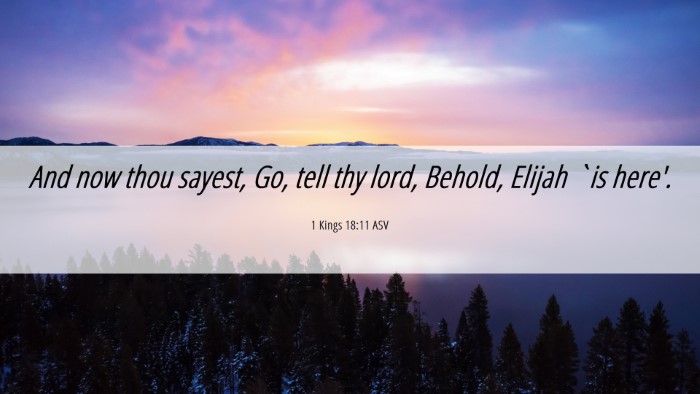 Picture 06 - 1 Kings 18:11 ASV Desktop Wallpaper - And now thou sayest, Go, tell thy lord, Behold, - Desktop Bible Verse Wallpaper