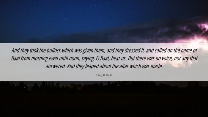 Picture 06 - 1 Kings 18:26 ASV Desktop Wallpaper - And they took the bullock which was given them, - Desktop Bible Verse Wallpaper