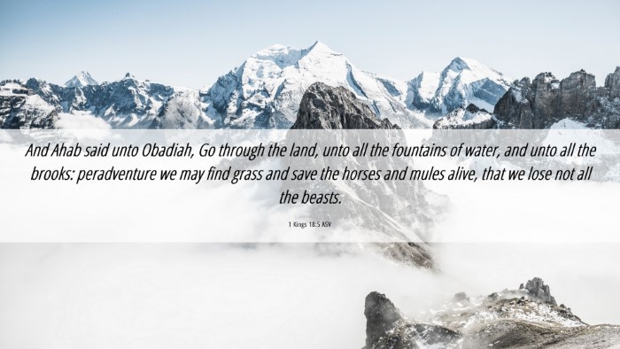 Picture 06 - 1 Kings 18:5 ASV Desktop Wallpaper - And Ahab said unto Obadiah, Go through the land, - Desktop Bible Verse Wallpaper