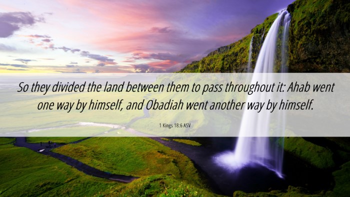 Picture 06 - 1 Kings 18:6 ASV Desktop Wallpaper - So they divided the land between them to pass - Desktop Bible Verse Wallpaper