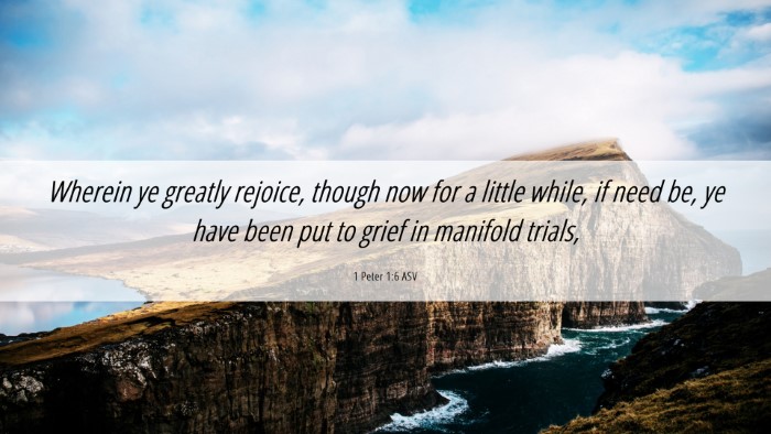 Picture 06 - 1 Peter 1:6 ASV Desktop Wallpaper - Wherein ye greatly rejoice, though now for a - Desktop Bible Verse Wallpaper