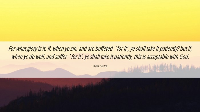 Picture 06 - 1 Peter 2:20 ASV Desktop Wallpaper - For what glory is it, if, when ye sin, and are - Desktop Bible Verse Wallpaper