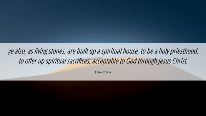Picture 06 - 1 Peter 2:5 ASV Desktop Wallpaper - ye also, as living stones, are built up a - Desktop Bible Verse Wallpaper