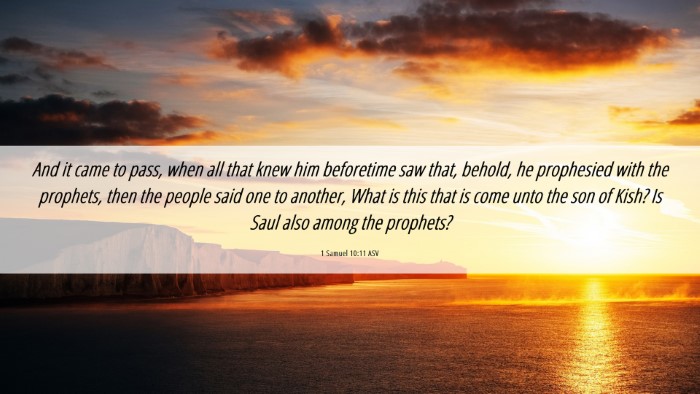 Picture 06 - 1 Samuel 10:11 ASV Desktop Wallpaper - And it came to pass, when all that knew him - Desktop Bible Verse Wallpaper