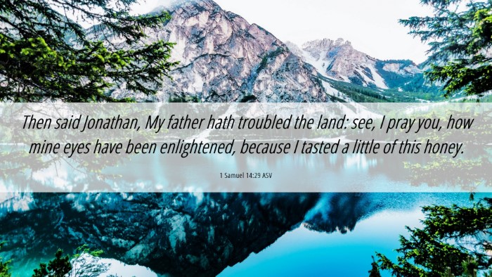 Picture 06 - 1 Samuel 14:29 ASV Desktop Wallpaper - Then said Jonathan, My father hath troubled the - Desktop Bible Verse Wallpaper