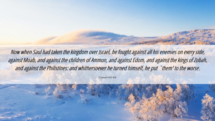 Picture 06 - 1 Samuel 14:47 ASV Desktop Wallpaper - Now when Saul had taken the kingdom over Israel, - Desktop Bible Verse Wallpaper