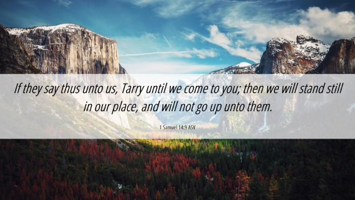 Picture 06 - 1 Samuel 14:9 ASV Desktop Wallpaper - If they say thus unto us, Tarry until we come to - Desktop Bible Verse Wallpaper