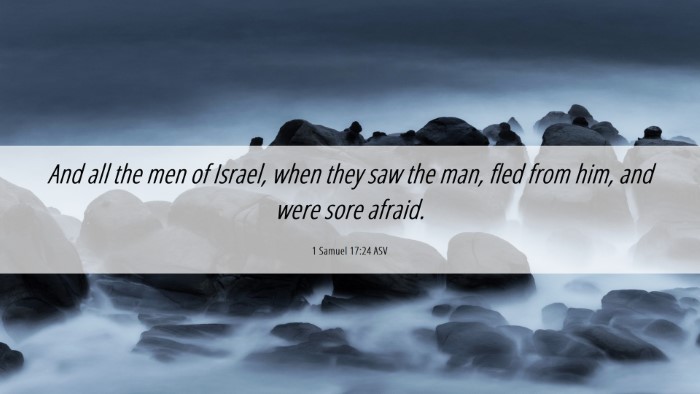 Picture 06 - 1 Samuel 17:24 ASV Desktop Wallpaper - And all the men of Israel, when they saw the man, - Desktop Bible Verse Wallpaper