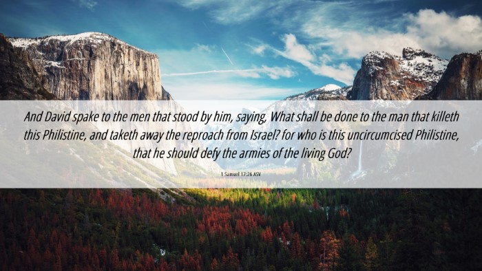 Picture 06 - 1 Samuel 17:26 ASV Desktop Wallpaper - And David spake to the men that stood by him, - Desktop Bible Verse Wallpaper