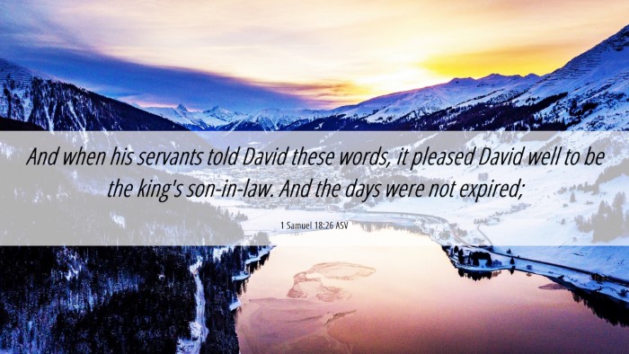 Picture 06 - 1 Samuel 18:26 ASV Desktop Wallpaper - And when his servants told David these words, it - Desktop Bible Verse Wallpaper
