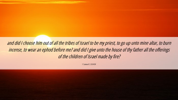 Picture 06 - 1 Samuel 2:28 ASV Desktop Wallpaper - and did I choose him out of all the tribes of - Desktop Bible Verse Wallpaper