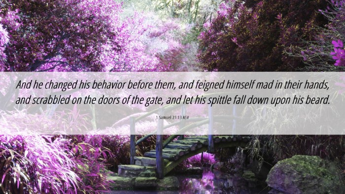 Picture 06 - 1 Samuel 21:13 ASV Desktop Wallpaper - And he changed his behavior before them, and - Desktop Bible Verse Wallpaper