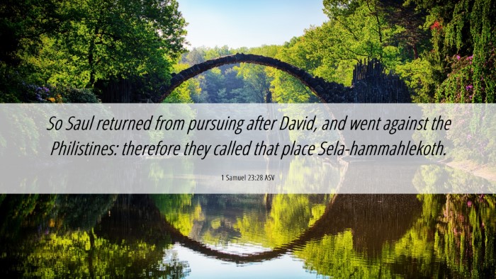 Picture 06 - 1 Samuel 23:28 ASV Desktop Wallpaper - So Saul returned from pursuing after David, and - Desktop Bible Verse Wallpaper
