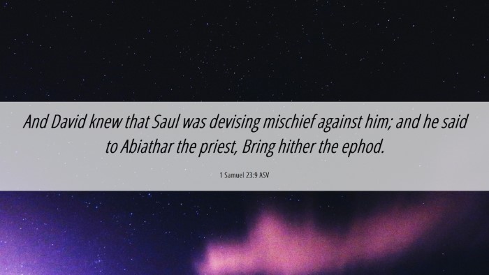 Picture 06 - 1 Samuel 23:9 ASV Desktop Wallpaper - And David knew that Saul was devising mischief - Desktop Bible Verse Wallpaper