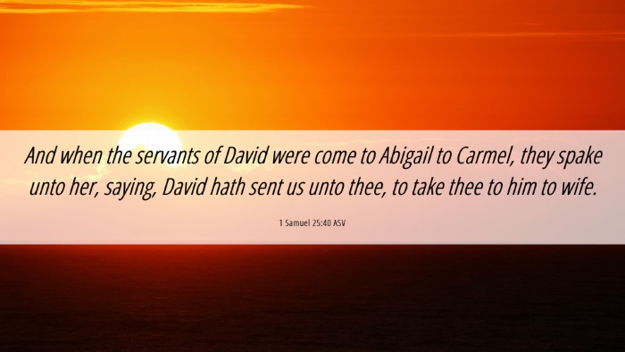 Picture 06 - 1 Samuel 25:40 ASV Desktop Wallpaper - And when the servants of David were come to - Desktop Bible Verse Wallpaper