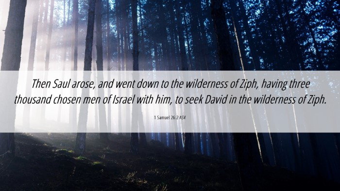 Picture 06 - 1 Samuel 26:2 ASV Desktop Wallpaper - Then Saul arose, and went down to the wilderness - Desktop Bible Verse Wallpaper