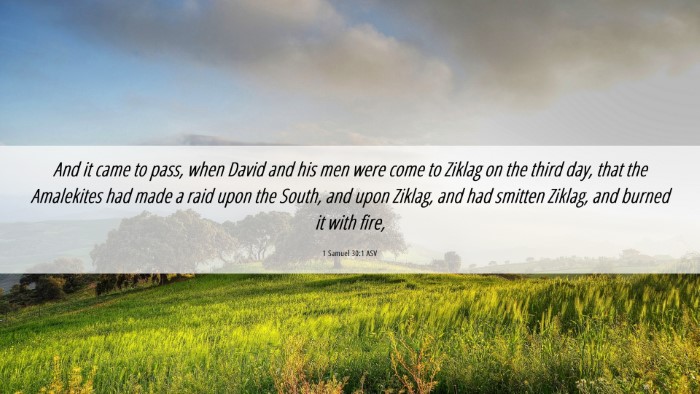 Picture 06 - 1 Samuel 30:1 ASV Desktop Wallpaper - And it came to pass, when David and his men were - Desktop Bible Verse Wallpaper