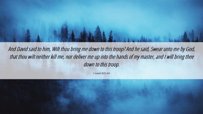Picture 06 - 1 Samuel 30:15 ASV Desktop Wallpaper - And David said to him, Wilt thou bring me down to - Desktop Bible Verse Wallpaper