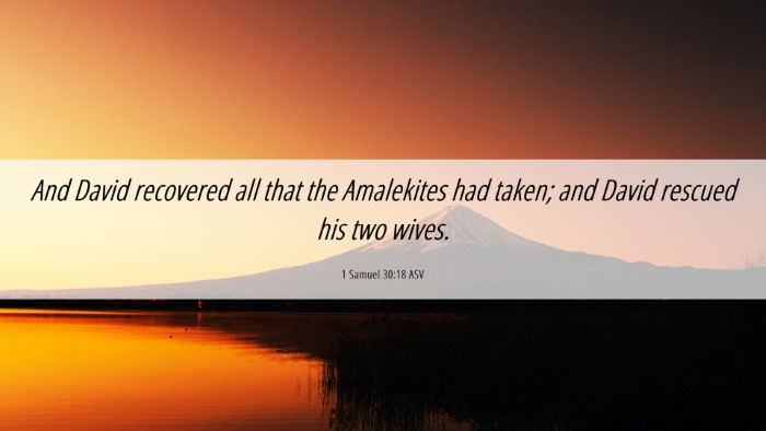 Picture 06 - 1 Samuel 30:18 ASV Desktop Wallpaper - And David recovered all that the Amalekites had - Desktop Bible Verse Wallpaper