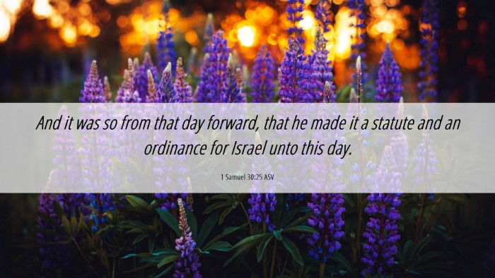 Picture 06 - 1 Samuel 30:25 ASV Desktop Wallpaper - And it was so from that day forward, that he made - Desktop Bible Verse Wallpaper