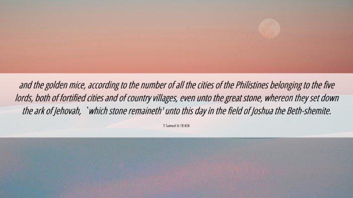 Picture 06 - 1 Samuel 6:18 ASV Desktop Wallpaper - and the golden mice, according to the number of - Desktop Bible Verse Wallpaper