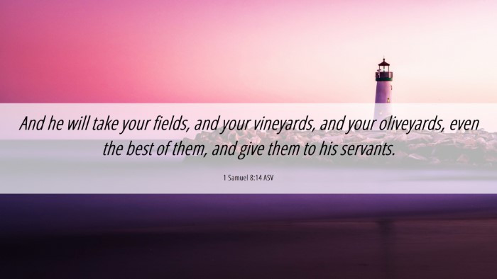 Picture 06 - 1 Samuel 8:14 ASV Desktop Wallpaper - And he will take your fields, and your vineyards, - Desktop Bible Verse Wallpaper
