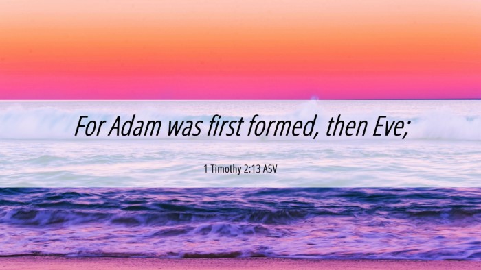 Picture 06 - 1 Timothy 2:13 ASV Desktop Wallpaper - For Adam was first formed, then - Desktop Bible Verse Wallpaper