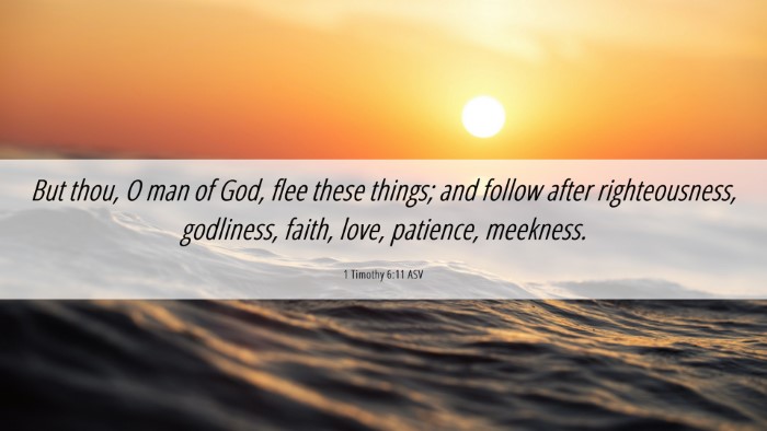 Picture 06 - 1 Timothy 6:11 ASV Desktop Wallpaper - But thou, O man of God, flee these things; and - Desktop Bible Verse Wallpaper
