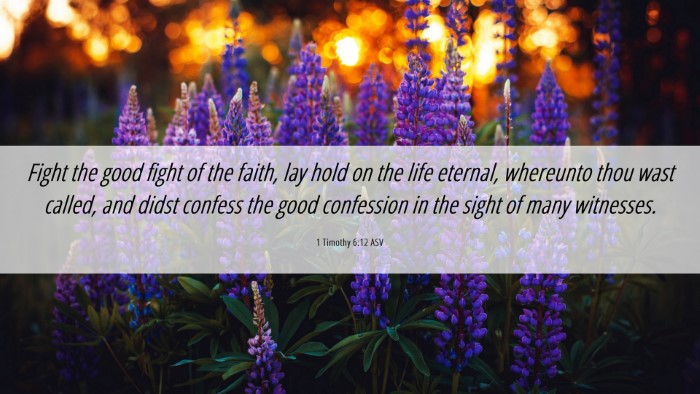 Picture 06 - 1 Timothy 6:12 ASV Desktop Wallpaper - Fight the good fight of the faith, lay hold on - Desktop Bible Verse Wallpaper