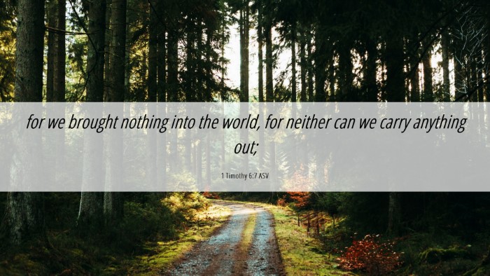 Picture 06 - 1 Timothy 6:7 ASV Desktop Wallpaper - for we brought nothing into the world, for - Desktop Bible Verse Wallpaper