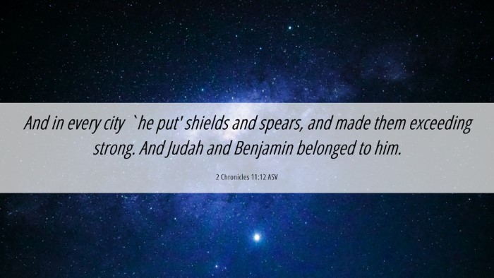 Picture 06 - 2 Chronicles 11:12 ASV Desktop Wallpaper - And in every city `he put' shields and spears, - Desktop Bible Verse Wallpaper