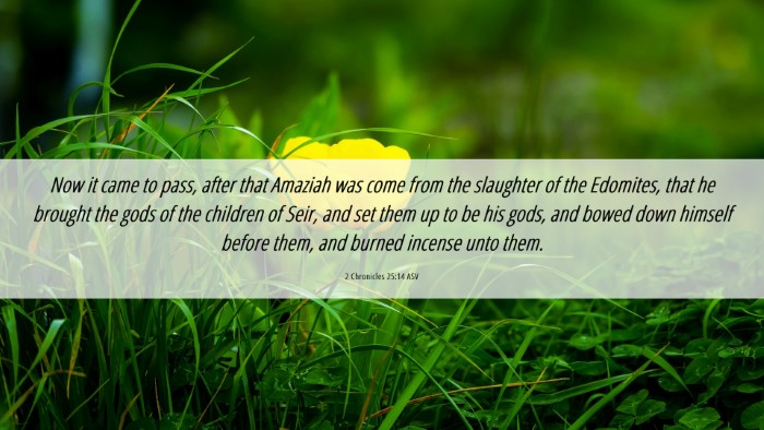 Picture 06 - 2 Chronicles 25:14 ASV Desktop Wallpaper - Now it came to pass, after that Amaziah was come - Desktop Bible Verse Wallpaper