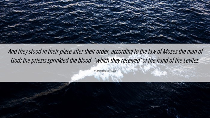 Picture 06 - 2 Chronicles 30:16 ASV Desktop Wallpaper - And they stood in their place after their order, - Desktop Bible Verse Wallpaper