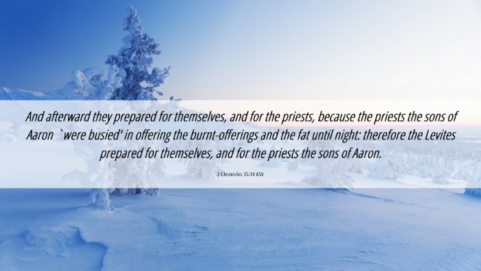Picture 06 - 2 Chronicles 35:14 ASV Desktop Wallpaper - And afterward they prepared for themselves, and - Desktop Bible Verse Wallpaper