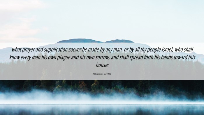 Picture 06 - 2 Chronicles 6:29 ASV Desktop Wallpaper - what prayer and supplication soever be made by - Desktop Bible Verse Wallpaper