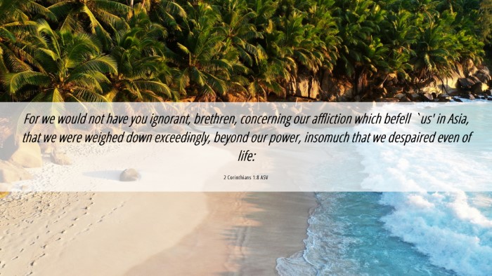 Picture 06 - 2 Corinthians 1:8 ASV Desktop Wallpaper - For we would not have you ignorant, brethren, - Desktop Bible Verse Wallpaper
