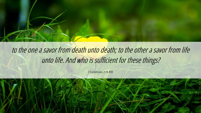 Picture 06 - 2 Corinthians 2:16 ASV Desktop Wallpaper - to the one a savor from death unto death; to the - Desktop Bible Verse Wallpaper