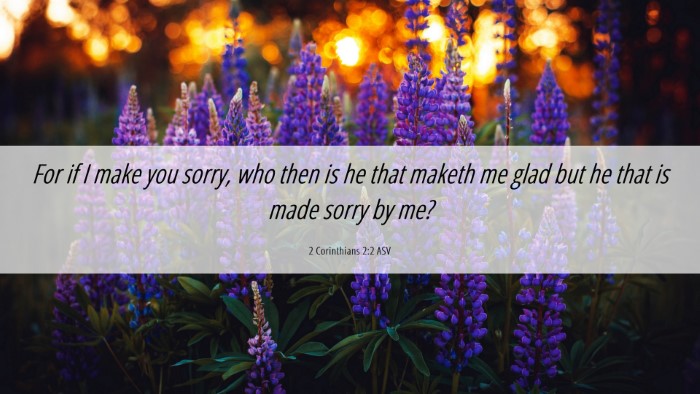 Picture 06 - 2 Corinthians 2:2 ASV Desktop Wallpaper - For if I make you sorry, who then is he that - Desktop Bible Verse Wallpaper