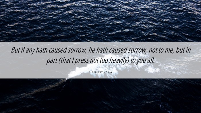 Picture 06 - 2 Corinthians 2:5 ASV Desktop Wallpaper - But if any hath caused sorrow, he hath caused - Desktop Bible Verse Wallpaper
