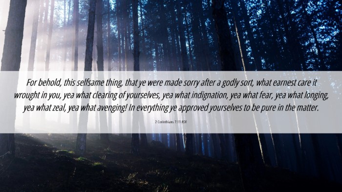 Picture 06 - 2 Corinthians 7:11 ASV Desktop Wallpaper - For behold, this selfsame thing, that ye were - Desktop Bible Verse Wallpaper